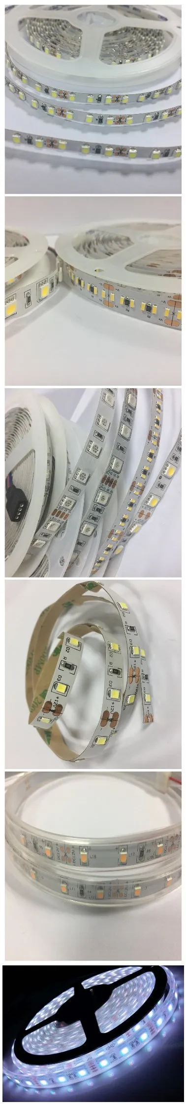 10mm Wide SMD LED Strip 5050 for Swimming Pool Decoration