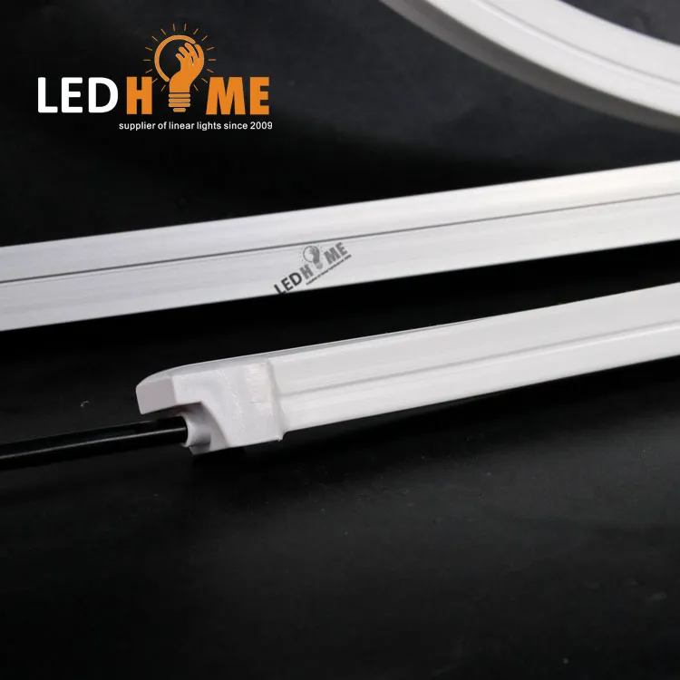 12V/24V LED Neon Light with SMD Strip for Outdooe Decoration