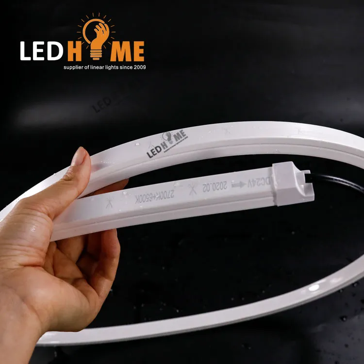 12V/24V LED Neon Light with SMD Strip for Outdooe Decoration