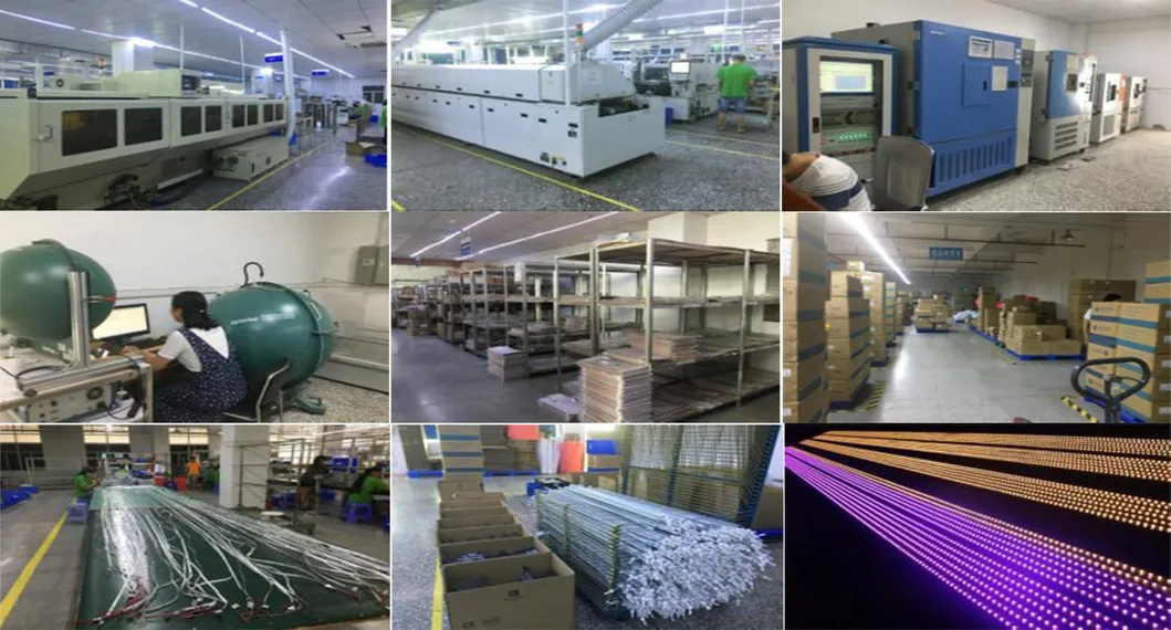 2021 New LED Lighting Multi Color Neon Flexible RGB LED Tape Light Strip