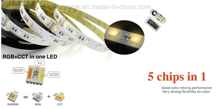 3 Years Warranty DC24V Digital Rgbww/RGB+CCT Five Chips 5 Colors 48LEDs/M IC Smart LED Flexible Strip