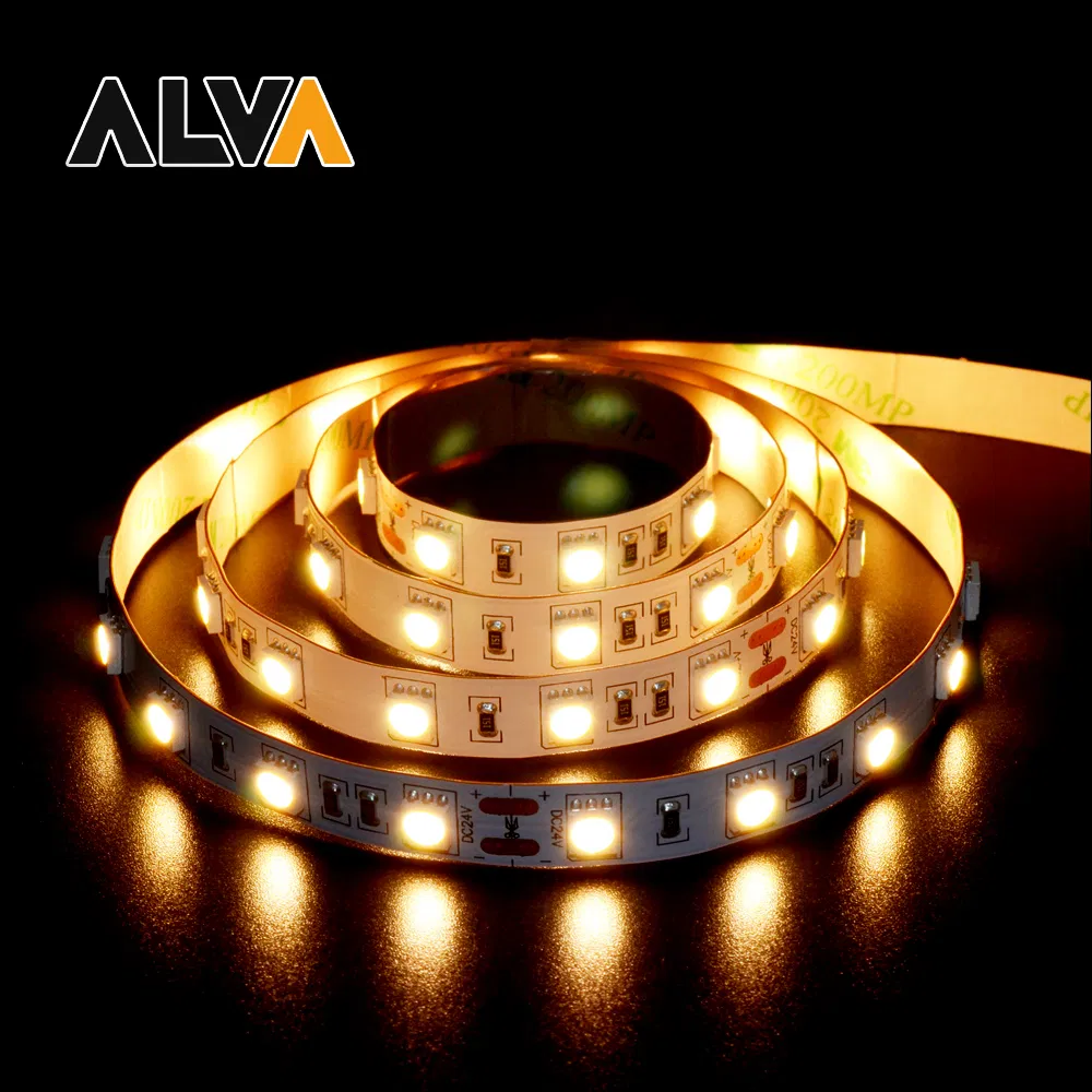 60/120/180/240SMD IP65 IP20 IC RGB SMD5050 SMD2835 Multi Color Flexible Rope DIY 220V 12V 24V LED Strip Light with TUV CB Holiday Home Party Indoor Outdoor