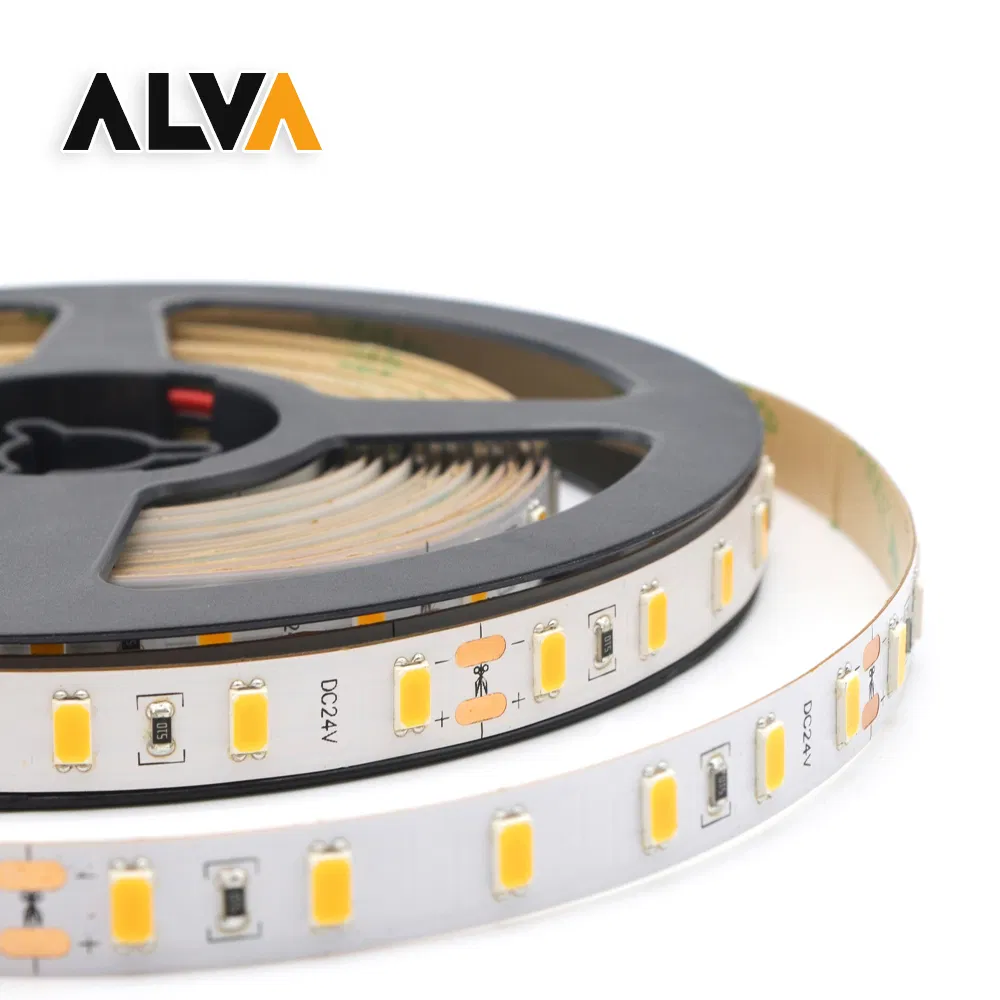 60/120/180/240SMD IP65 IP20 IC RGB SMD5050 SMD2835 Multi Color Flexible Rope DIY 220V 12V 24V LED Strip Light with TUV CB Holiday Home Party Indoor Outdoor