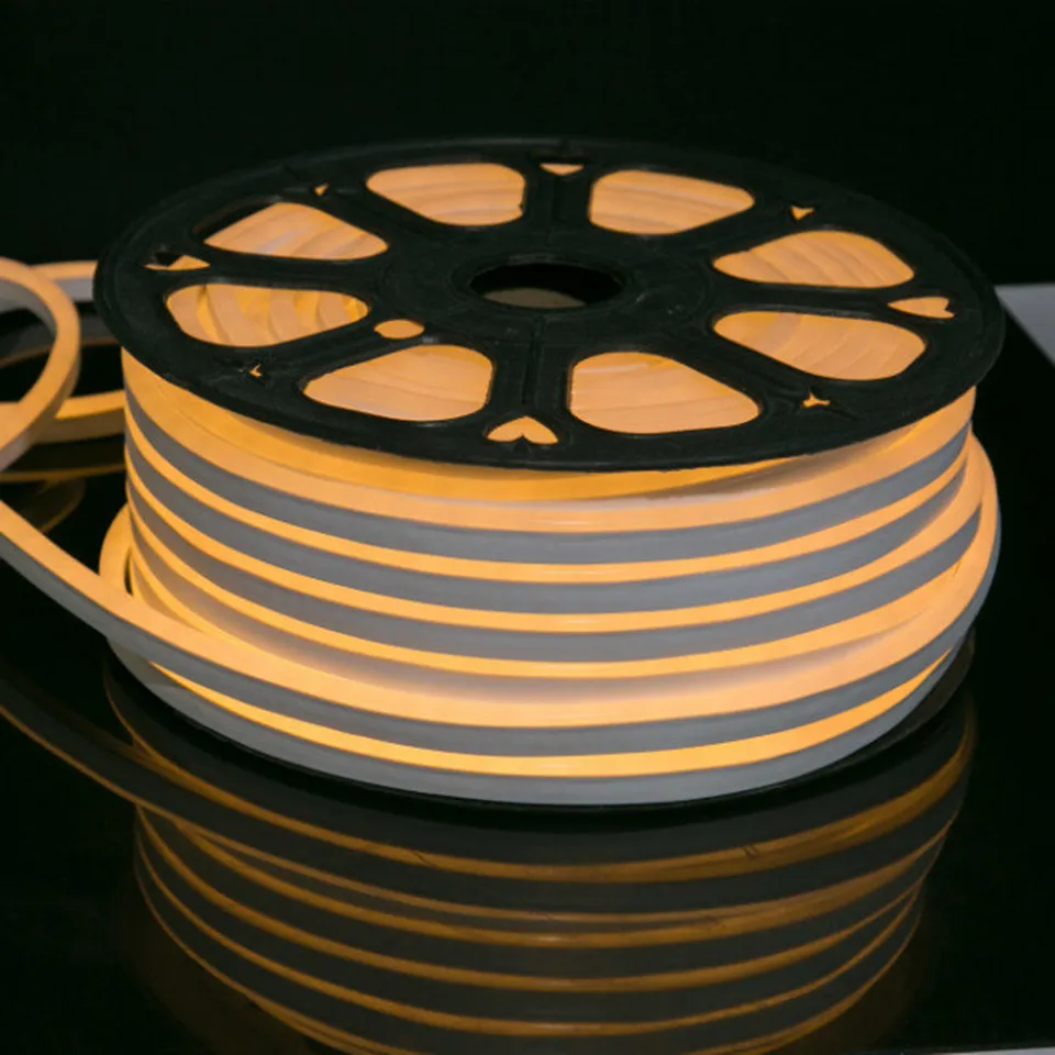 60 LED Per Meter SMD5050 RGB LED Flexible Neon Light