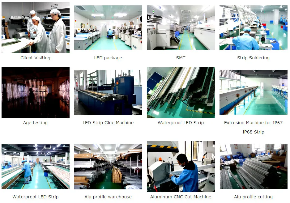 Bendable Neon Light Order Right Now Mask-Free