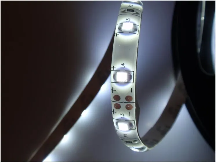 Ce EMC LVD RoHS Two Years Warranty, Waterproof Flexible LED Strip Light
