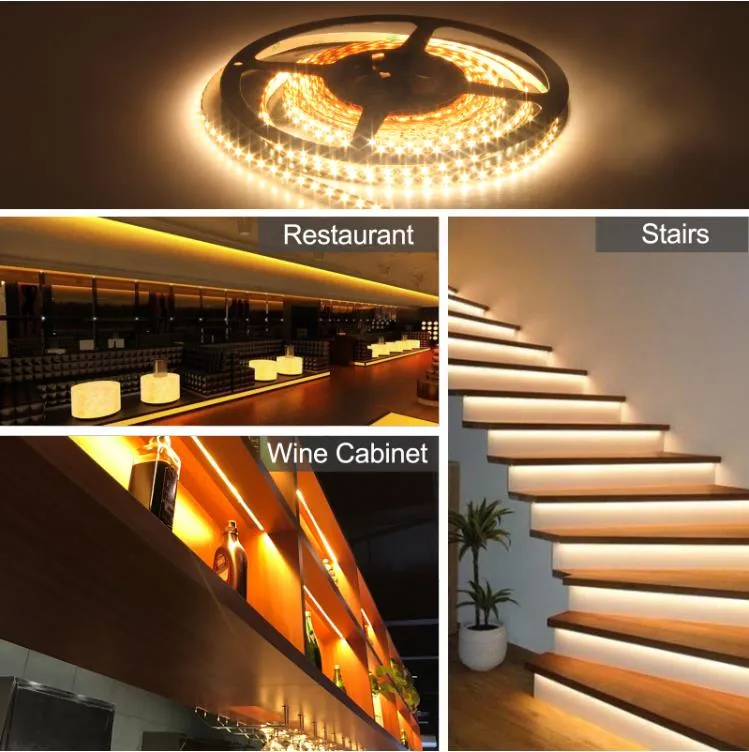 Cheap High Efficiency DC12V Low Voltage SMD2835 120LED Per Meter LED Strip Light