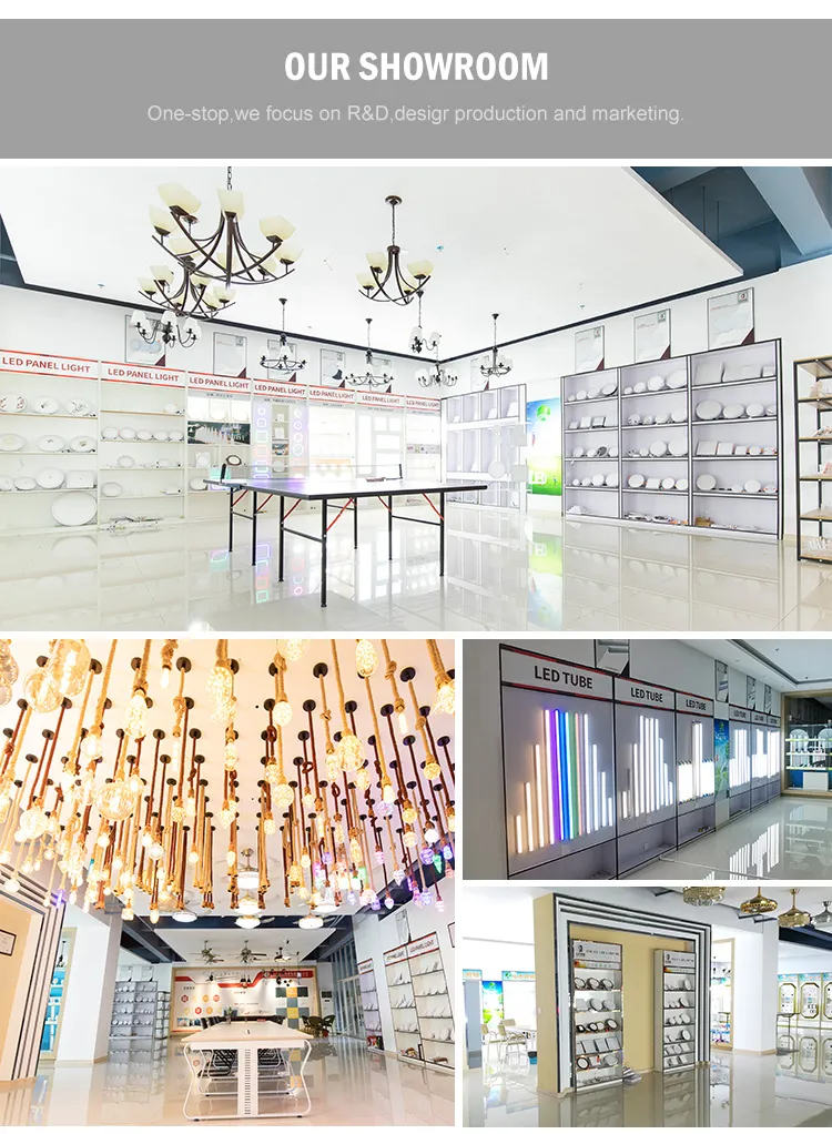 Cheap High Efficiency DC12V Low Voltage SMD2835 120LED Per Meter LED Strip Light