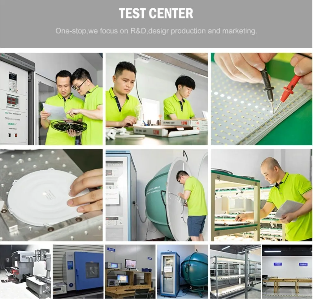 Cheap High Efficiency DC12V Low Voltage SMD2835 120LED Per Meter LED Strip Light