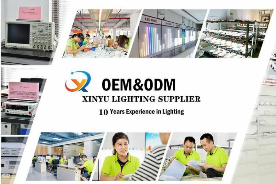 Cheap High Efficiency DC12V Low Voltage SMD2835 120LED Per Meter LED Strip Light