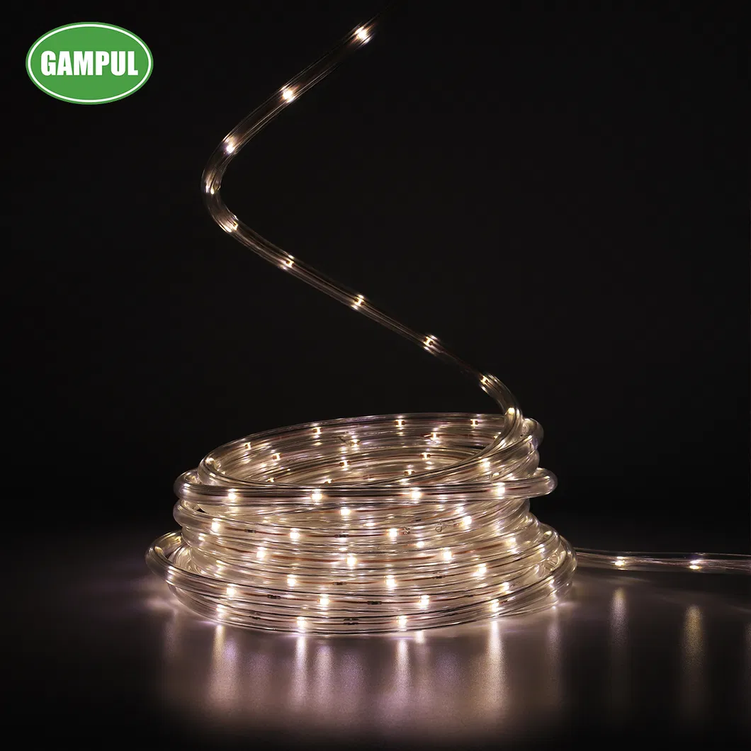 China Hot Sale 220V Waterproof Outdoor White Color Rope Lighting LED Rope Light