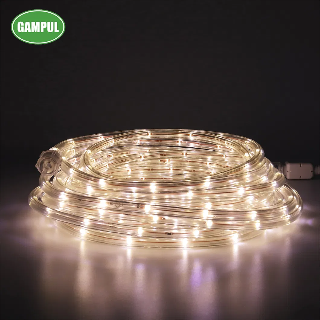 China Hot Sale 220V Waterproof Outdoor White Color Rope Lighting LED Rope Light
