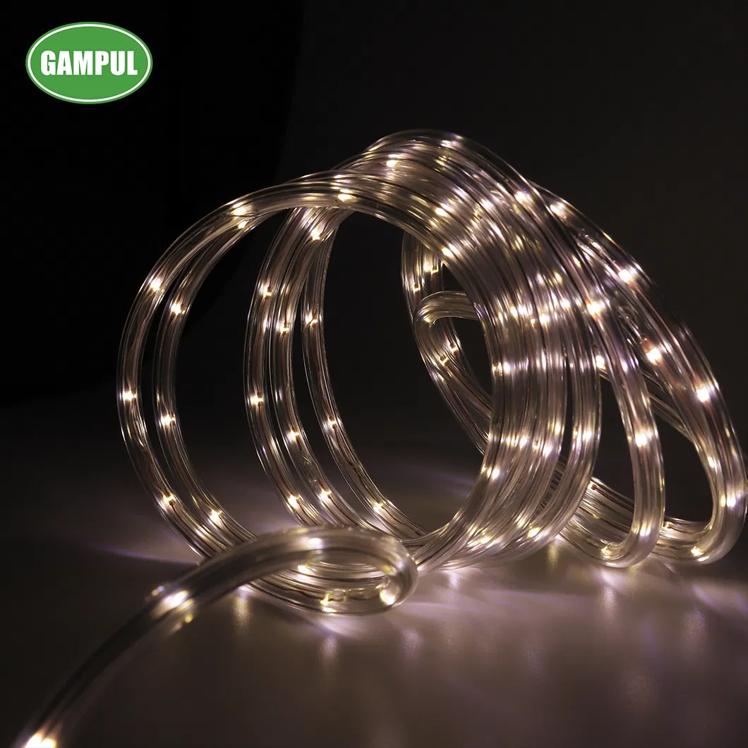 China Hot Sale 220V Waterproof Outdoor White Color Rope Lighting LED Rope Light