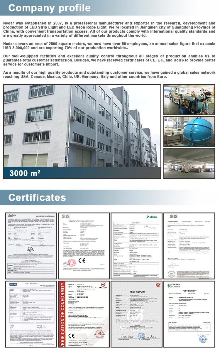 Decorative Light Flexible LED Strip Light in Construction Site SMD 2835 180LED Waterproof IP65 Outdoor Using