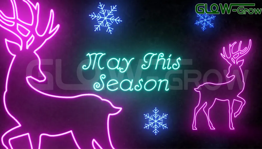 Dimmable Multi-Color Christmas Use 5050 48LEDs/M Low Voltage LED Strip Light RGB Neon Rope Light