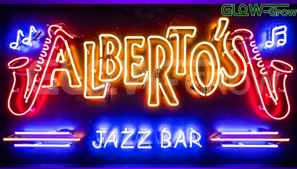 Dimmable Multi-Color Christmas Use 5050 48LEDs/M Low Voltage LED Strip Light RGB Neon Rope Light