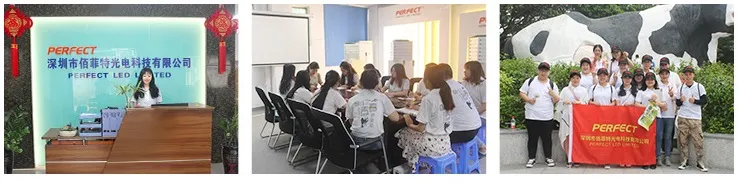 Double Colors CCT SMD 2835 Warm/Cool White Adjustable 168LEDs LED Strip Light CCT