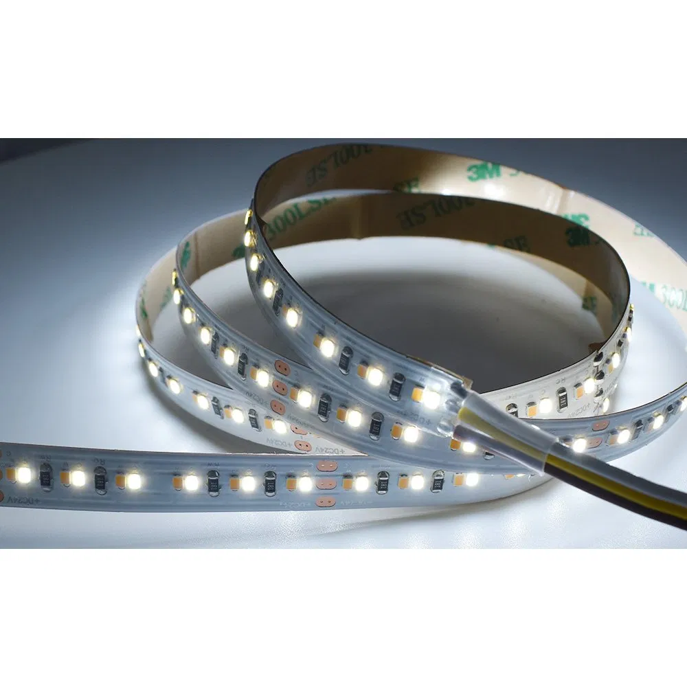 Flexible Strip 3000K 6000K IP20 12/24V 8mm Changeable CCT 168LED Double Color 2835 LED Strip