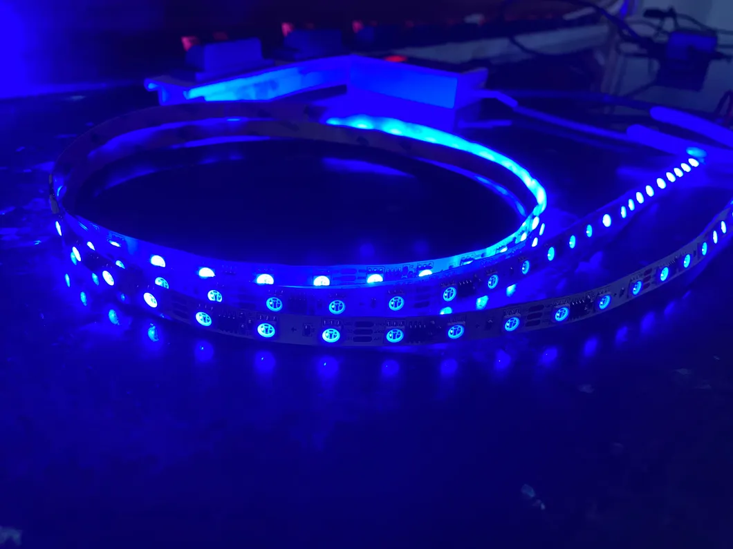 Hot Sale IC RGB Digital Magic Change Modes Ws2811/Sm16703 IC Controller SMD Strip Light