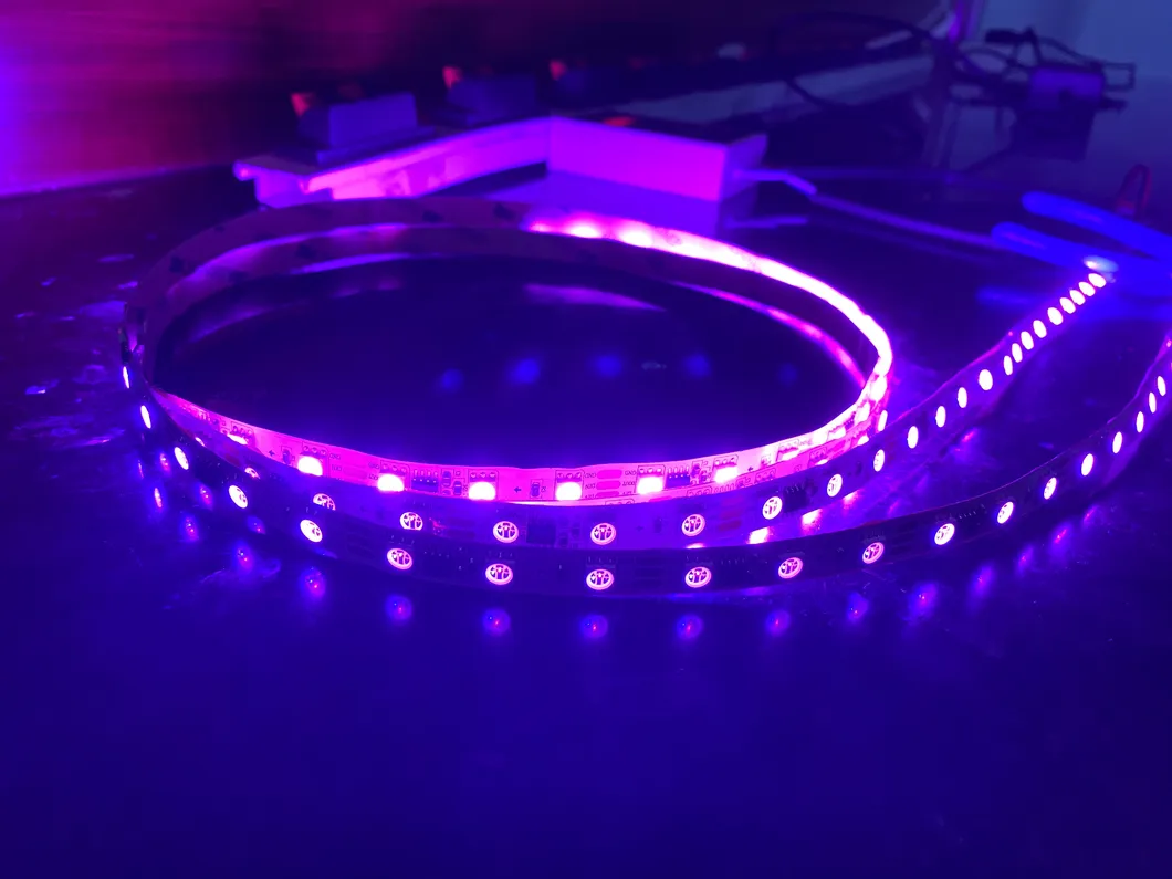 Hot Sale IC RGB Digital Magic Change Modes Ws2811/Sm16703 IC Controller SMD Strip Light