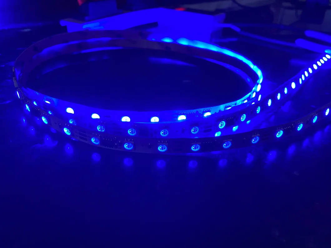 Hot Sale IC RGB Digital Magic Change Modes Ws2811/Sm16703 IC Controller SMD Strip Light