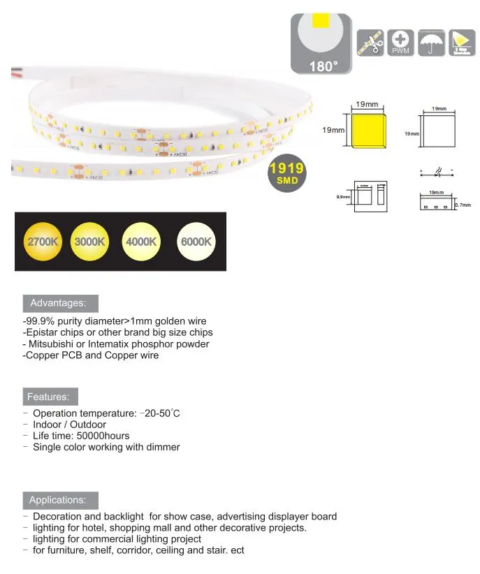 LED Christmas Light Home Decoration SMD1919 Strip Light String