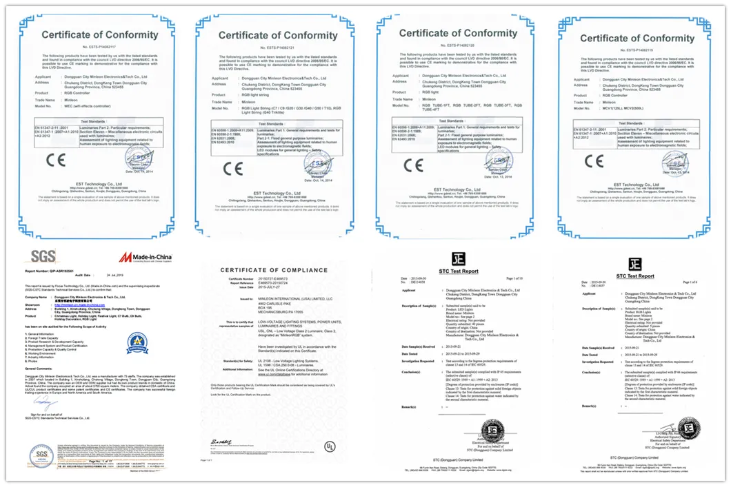 LED Decorative Serial Light for Holiday Christmas