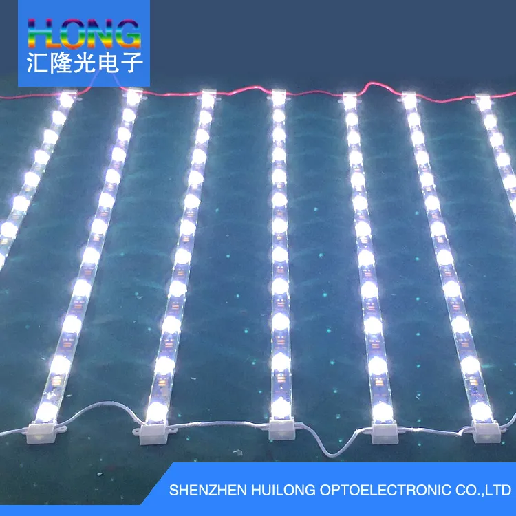 LED Module LED Backlight Strip with The Lens DC 12V 12W 12LEDs Adversting Box