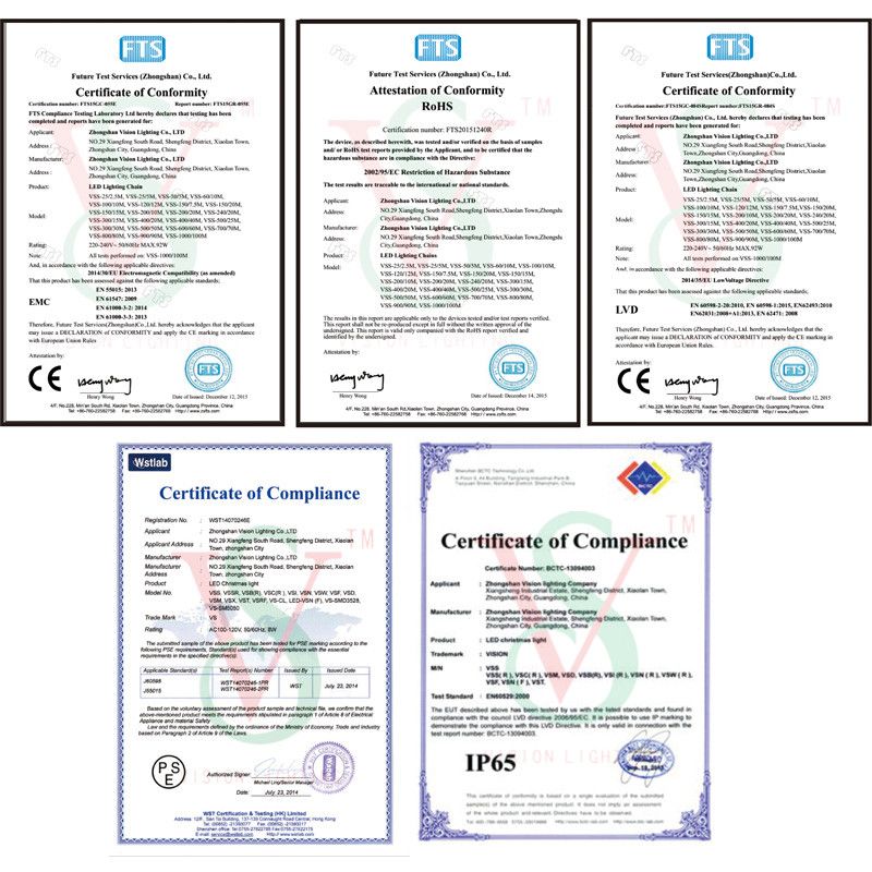 LED Sunflower Holiday/Christmas Decoration Lights