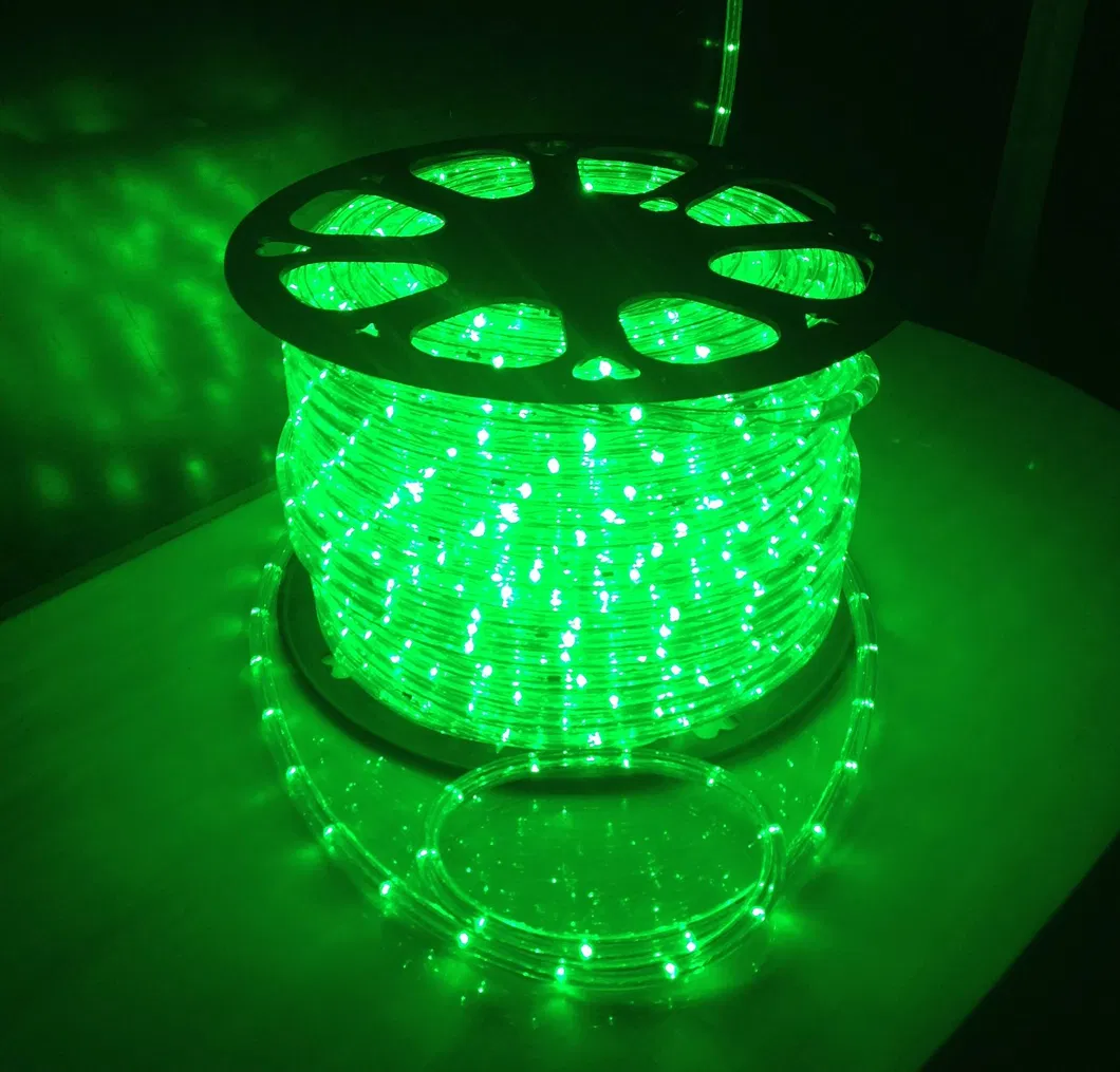 Outdoor New Fancy Two Wire Rope Light IC Lamp with Twinkle Chos Strobe Effect for Christmas Decoration