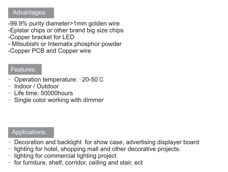 Super Efficiency Waterproof IP62 IP65 IP67 Ww/Nw/Cw 720 LEDs/M 10mm DC24V SMD 1808 24W/M LED Strip Light